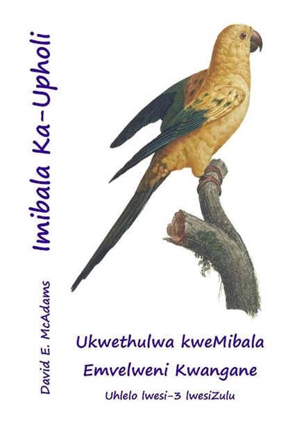 Imibala Ka-Upholi, David E. McAdams - Paperback - 9781632708328