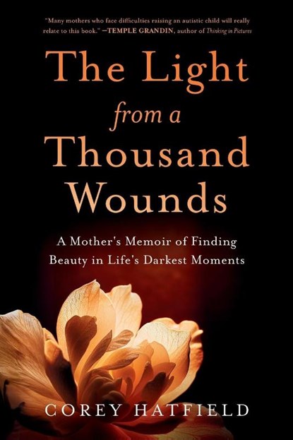 The Light from a Thousand Wounds, Corey Hatfield - Paperback - 9781632999252