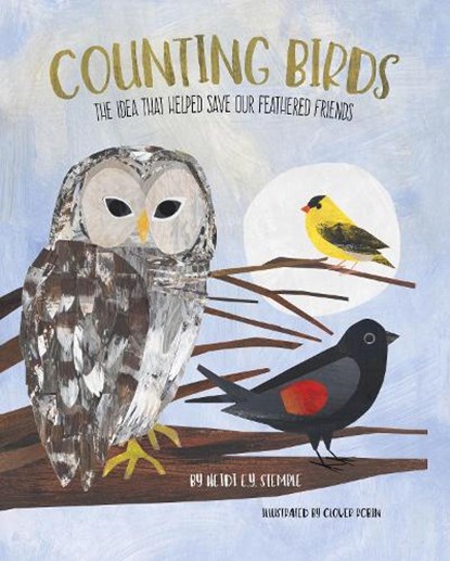 Counting Birds, Heidi E y Stemple - Paperback - 9781633228191