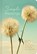 Simple Blessings, Ellie Claire - Gebonden - 9781633261242