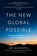 The New Global Possible, Ani Dasgupta - Gebonden - 9781633310667