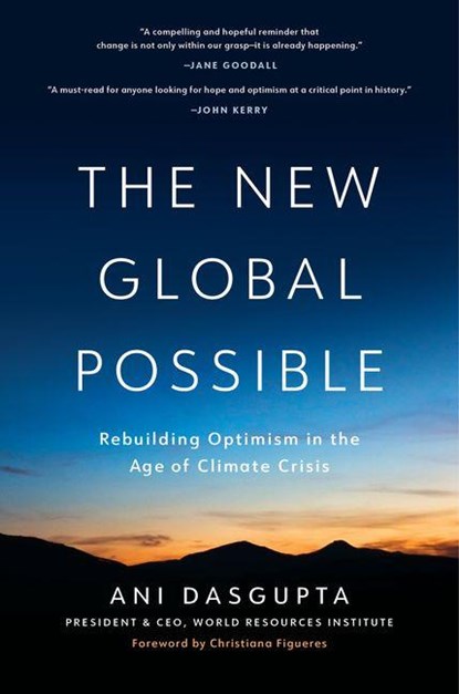 The New Global Possible, Ani Dasgupta - Gebonden - 9781633310667