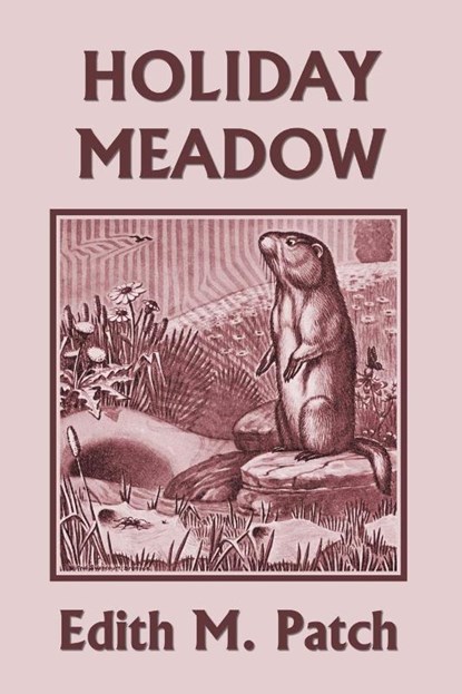 Holiday Meadow (Yesterday's Classics), Edith M Patch - Paperback - 9781633340480