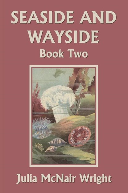 Seaside and Wayside, Book Two (Yesterday's Classics), Julia Mcnair Wright - Paperback - 9781633340855