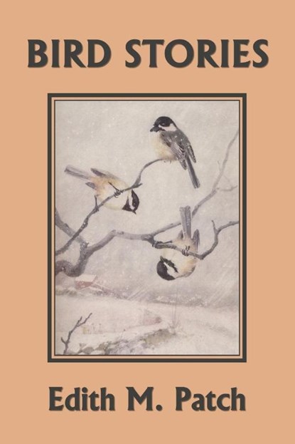 Bird Stories (Yesterday's Classics), Edith M Patch - Paperback - 9781633340954