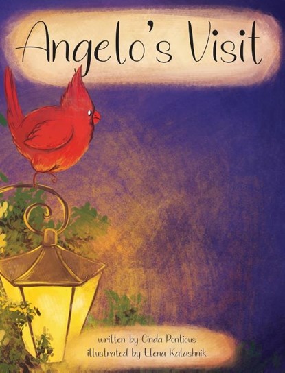 Angelo's Visit, Cinda Pontious - Gebonden - 9781633371651