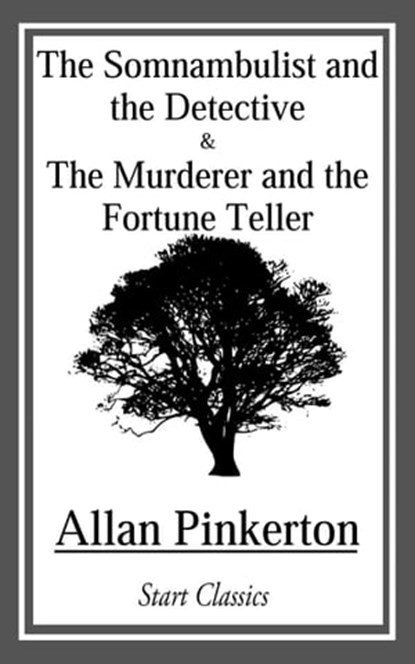 Somnambulist and the Detective and The Murderer and the Fortune Teller, Allan Pinkerton - Ebook - 9781633558397