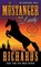 The Mustanger and the Lady, Dusty Richards - Paperback - 9781633731981
