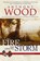 The Fire that Calms the Storm, Anthony Wood - Paperback - 9781633738836