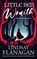 Little Red Wraith, Lindsay Flanagan - Paperback - 9781633739840