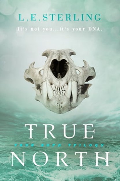 True North, L.E. Sterling - Ebook - 9781633756007