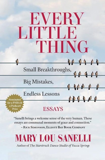 Every Little Thing, Mary Lou Sanelli - Paperback - 9781633981355
