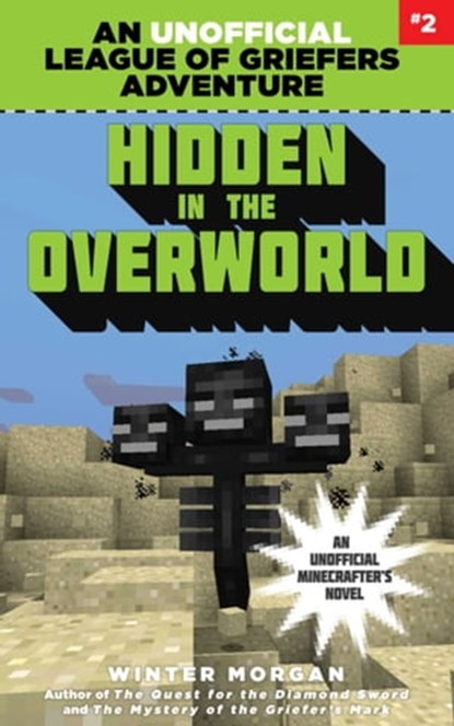 Hidden in the Overworld, Winter Morgan - Ebook - 9781634505963