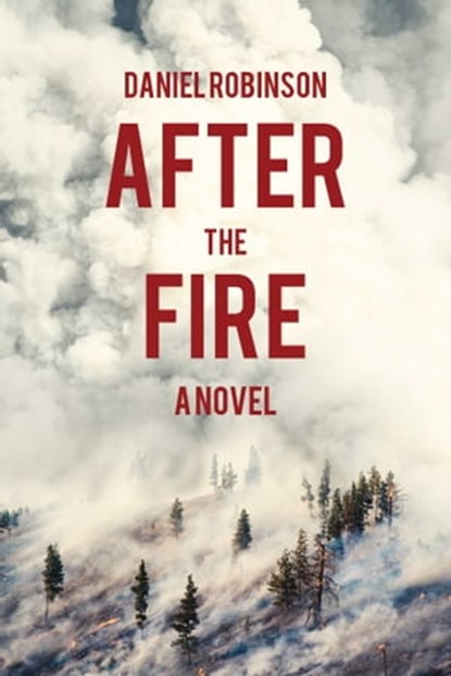 After the Fire, Daniel Robinson - Ebook - 9781634509695