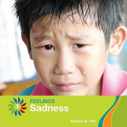 Sadness, ORR,  Tamra B. - Paperback - 9781634712439