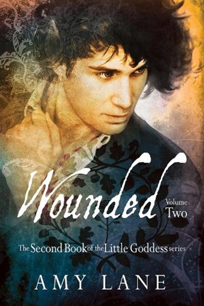 Wounded, Vol. 2, LANE,  Amy - Paperback - 9781634764469
