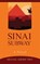 Sinai Subway, TROY,  Michael Jerome - Paperback - 9781635052275