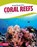 Animal Engineers: Coral Reef, Kathryn Hulick - Paperback - 9781635179620