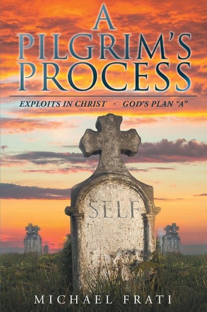 A Pilgrim's Process, Michael Frati - Paperback - 9781635254136