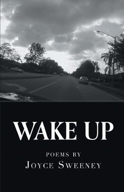 Wake Up, SWEENEY,  Joyce - Paperback - 9781635341553
