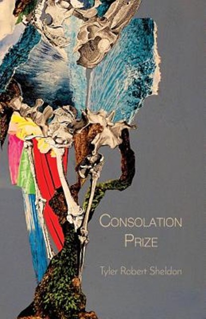 Consolation Prize, SHELDON,  Tyler Robert - Paperback - 9781635346282