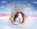 Goodwin, A: Guinea Pig Nutcracker, Alex Goodwin - Gebonden - 9781635574500