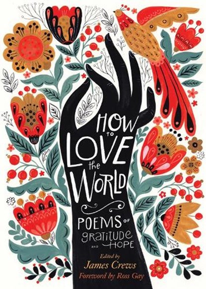 How to Love the World, James Crews - Paperback - 9781635863864