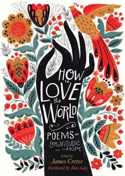 How to Love the World, James Crews - Ebook - 9781635863871