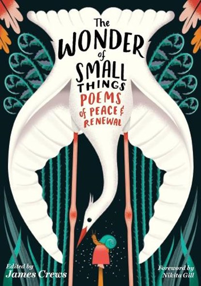The Wonder of Small Things, James Crews - Paperback - 9781635866445