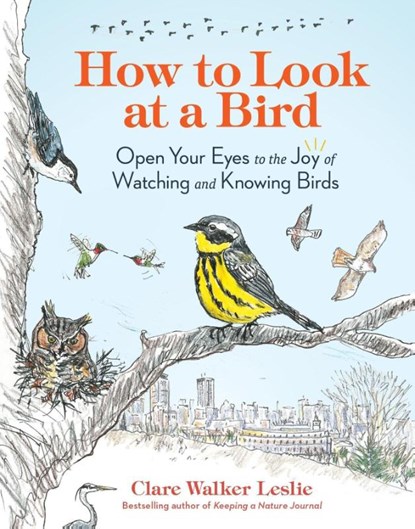 How to Look at a Bird, Clare Walker Leslie - Paperback - 9781635866490