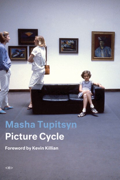 Picture Cycle, Masha Tupitsyn - Paperback - 9781635901047