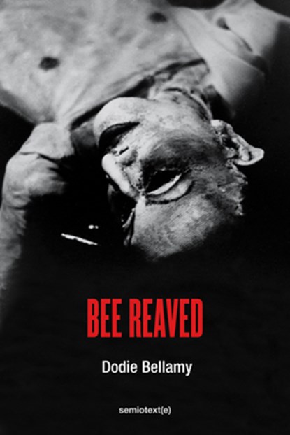 Bee Reaved, Dodie Bellamy - Paperback - 9781635901573