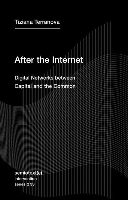 After the Internet, Tiziana Terranova - Paperback - 9781635901689