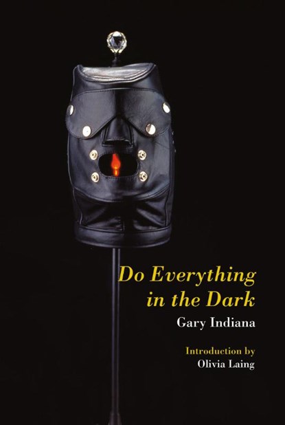 Do Everything in the Dark, Gary Indiana - Paperback - 9781635901863