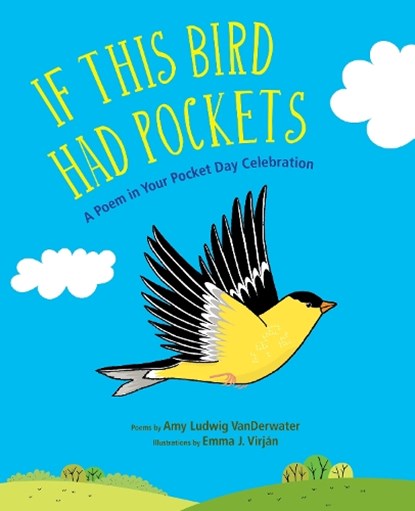 If This Bird Had Pockets, Amy Ludwig VanDerwater - Gebonden - 9781635923865