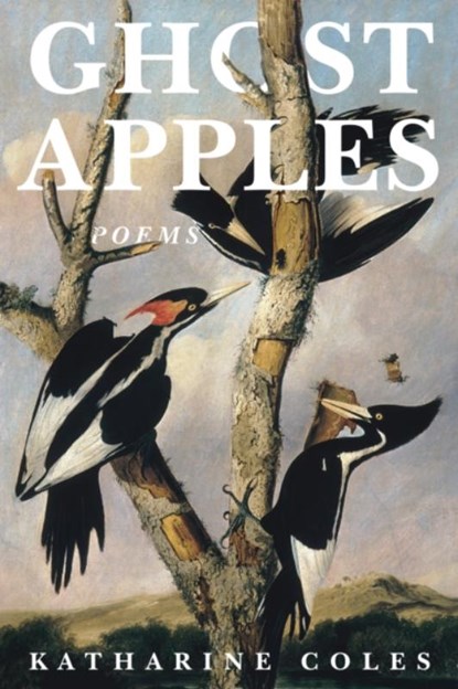 Ghost Apples, Katharine Coles - Paperback - 9781636280844