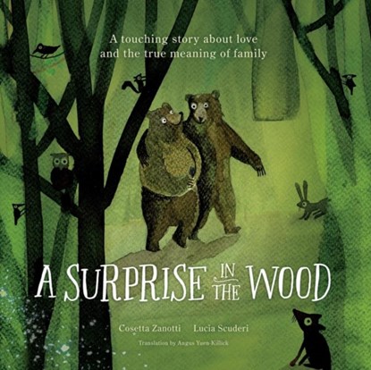 A Surprise in the Wood, Cosetta Zanotti - Gebonden - 9781636550923