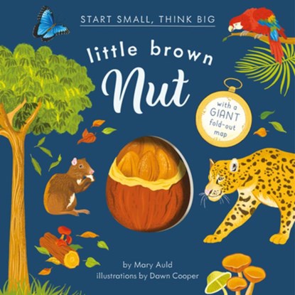 Little Brown Nut, Mary Auld - Gebonden - 9781636551050