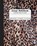 Comp Notebook, The Write Supplies - Paperback - 9781636571140