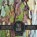 Tree Bark Scrapbook Paper Pad, Crafty as Ever - Paperback - 9781636572208