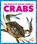 Crabs, Bizzy Harris - Paperback - 9781636902807