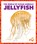 Jellyfish, Bizzy Harris - Paperback - 9781636902838