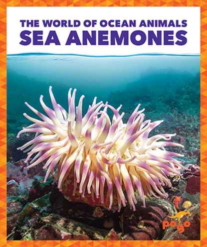 Sea Anemones, Adeline J. Zimmerman - Paperback - 9781636902920