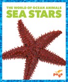Sea Stars | Adeline J. Zimmerman | 