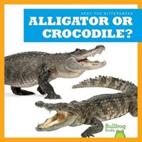 Alligator or Crocodile? | Adeline J. Zimmerman | 