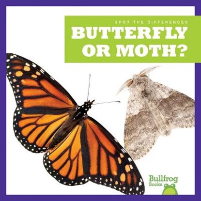 Butterfly or Moth?, Adeline J. Zimmerman - Gebonden - 9781636903408