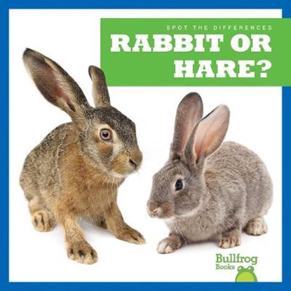 Rabbit or Hare?, Jamie Rice - Gebonden - 9781636903491
