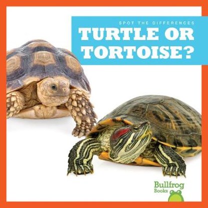 Turtle or Tortoise?, Jamie Rice - Gebonden - 9781636903521