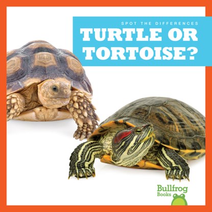 Turtle or Tortoise?, Jamie Rice - Paperback - 9781636903538