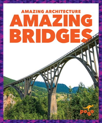 Amazing Bridges, Anita Nahta Amin - Paperback - 9781636907338
